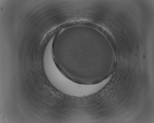 X0000078290920200611031228