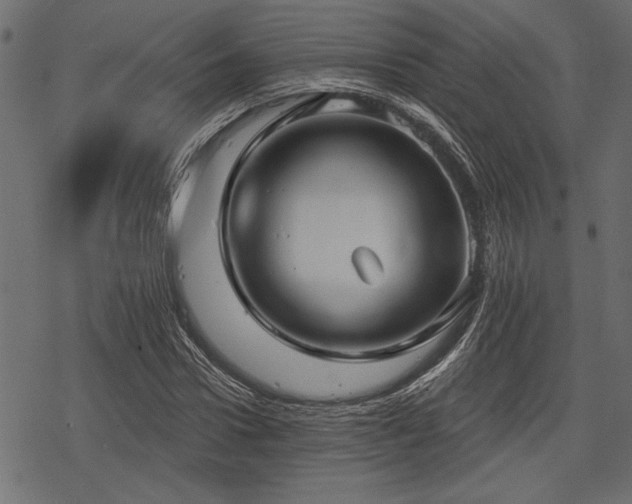 X0000078290922200611031228