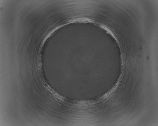 X0000078290923200611031228