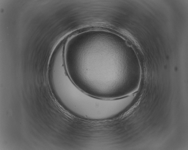 X0000078290924200611031228