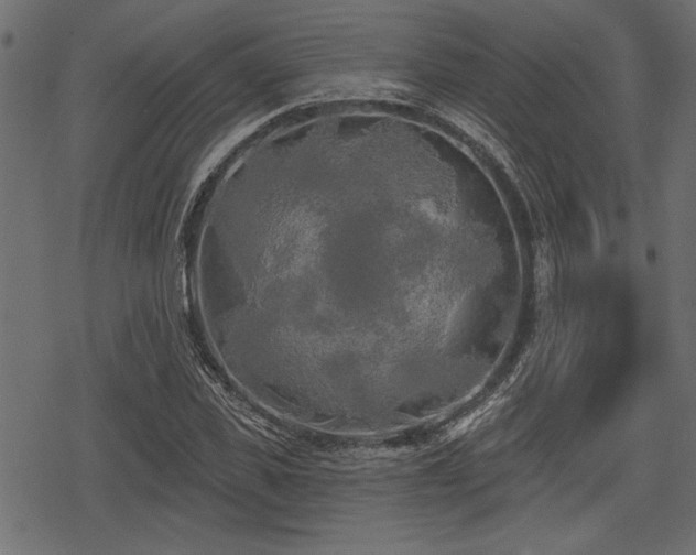 X0000078290925200611031228