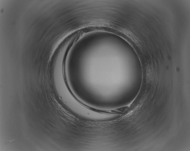 X0000078290926200611031228