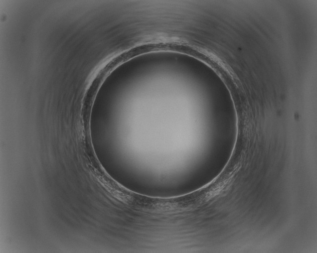 X0000078290927200611031228