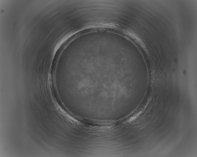 X0000078290928200611031228