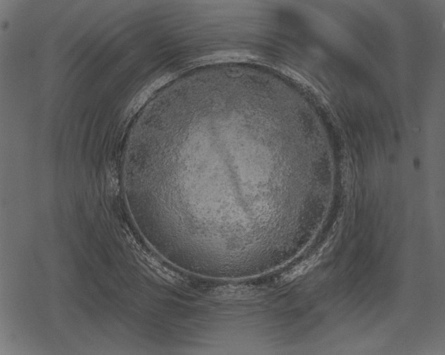 X0000078290929200611031228