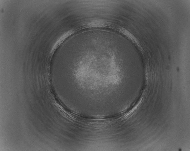 X0000078290930200611031228