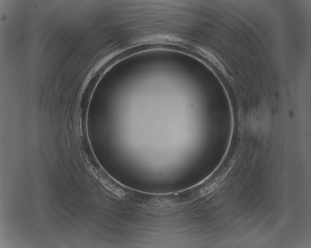 X0000078290931200611031228