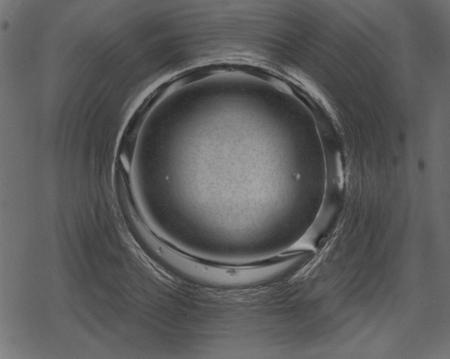 X0000078290932200611031228