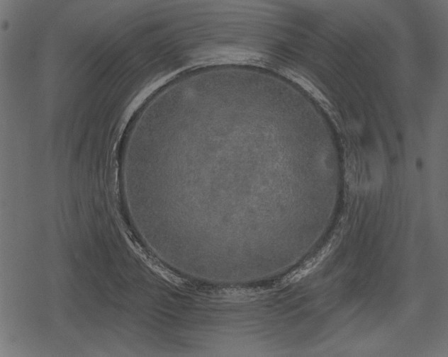 X0000078290933200611031228