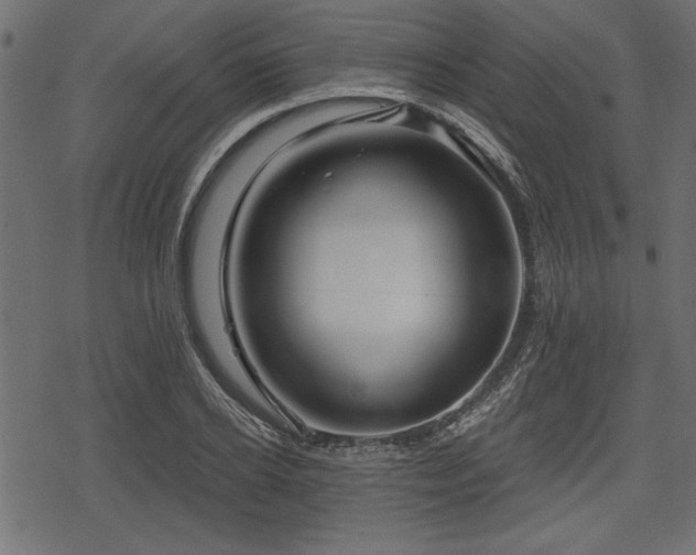 X0000078290934200611031228