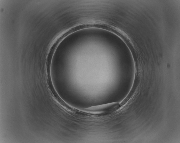 X0000078290935200611031228