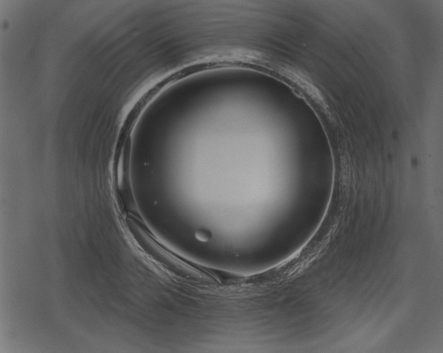 X0000078290936200611031228