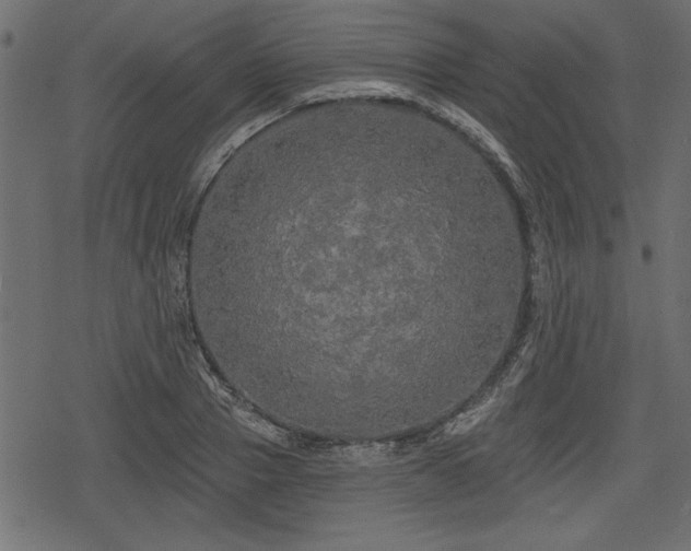 X0000078290937200611031228