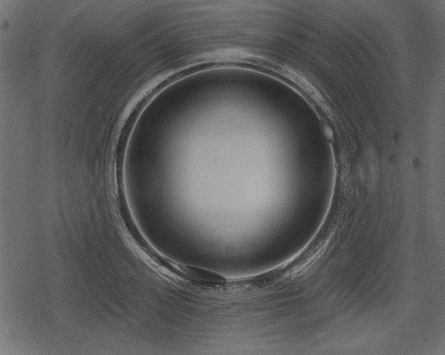 X0000078290939200611031228