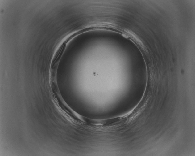 X0000078290940200611031228