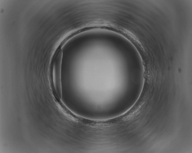 X0000078290942200611031228