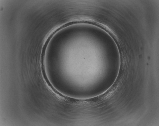 X0000078290943200611031228