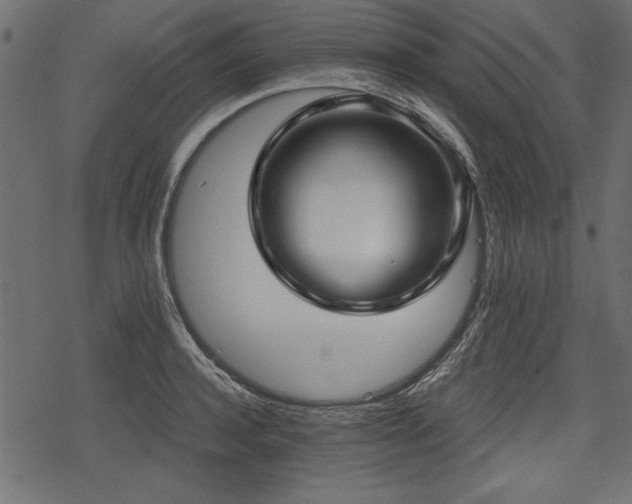 X0000078290944200611031228