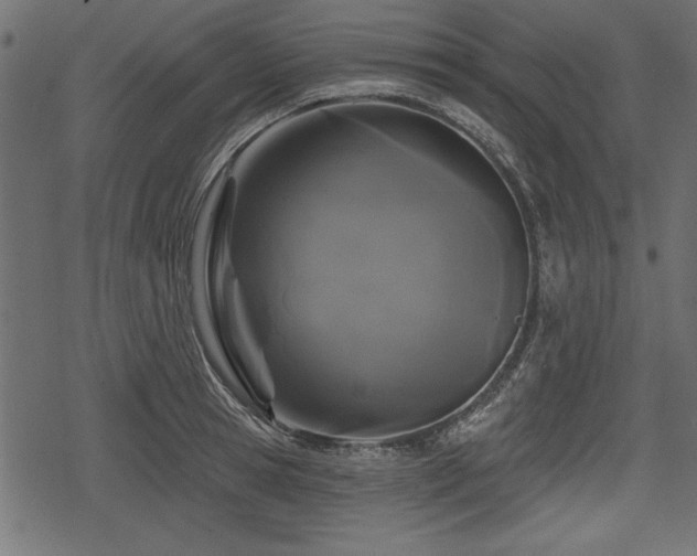 X0000078290945200611031228