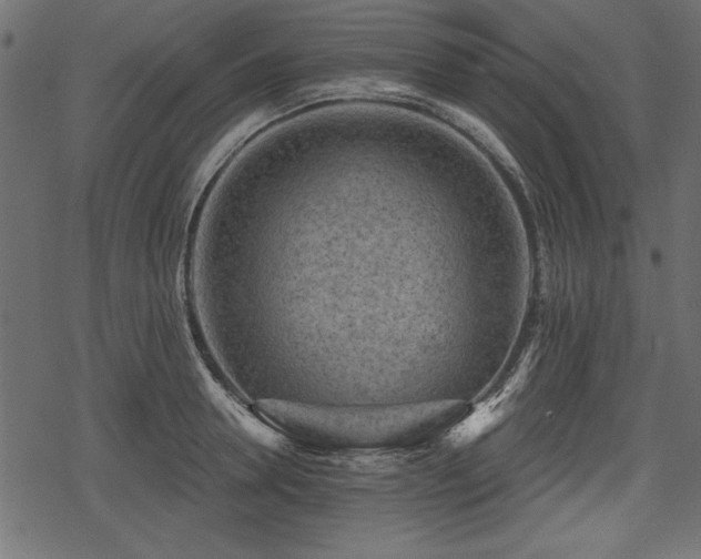 X0000078290946200611031228