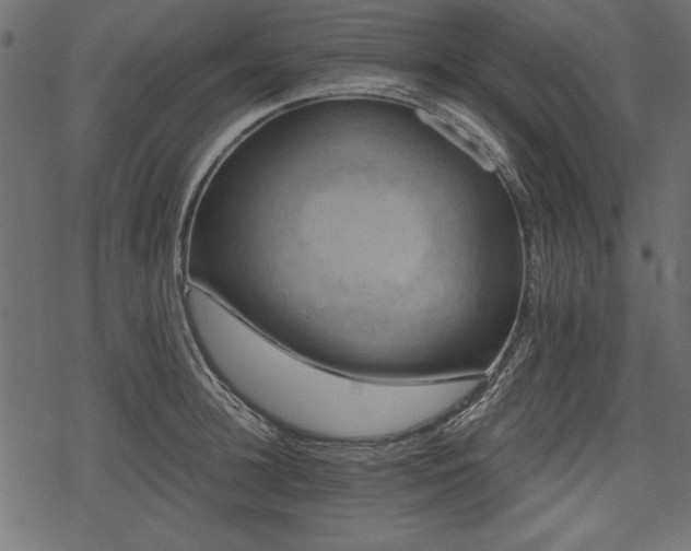 X0000078290948200611031228