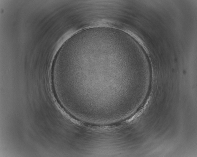 X0000078290949200611031228