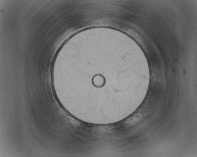 X0000078290950200611031228