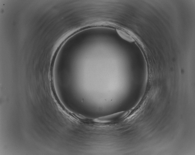 X0000078290951200611031228