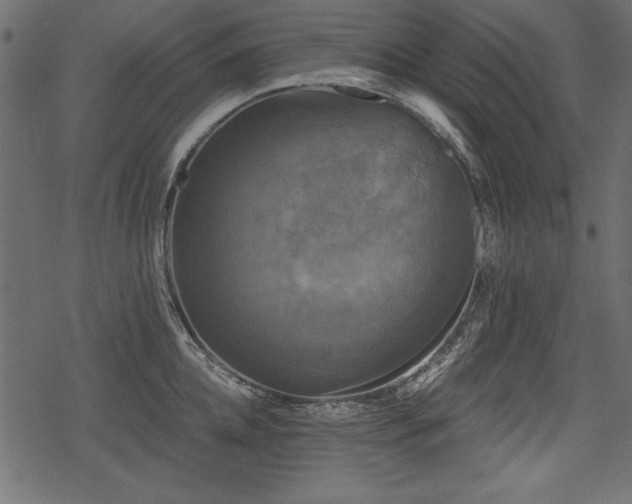 X0000078290952200611031228