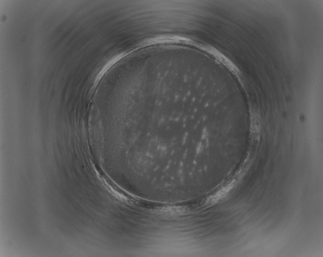 X0000078290953200611031228