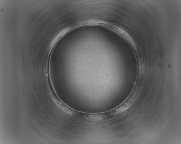 X0000078290954200611031228