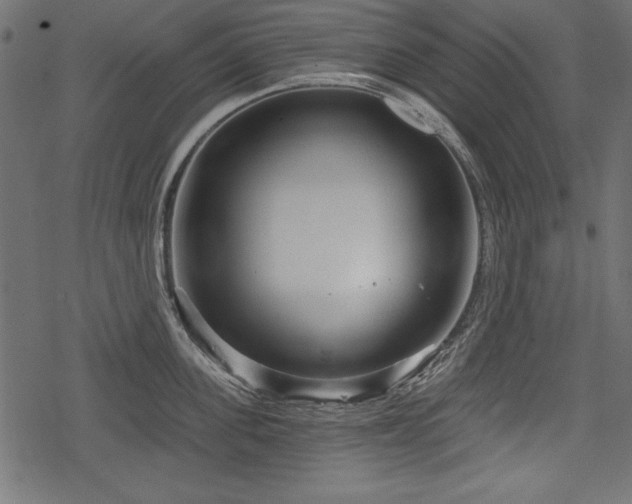 X0000078290955200611031228