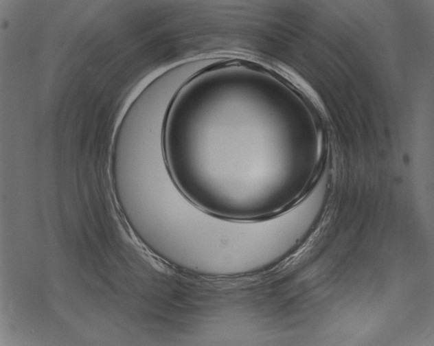 X0000078290956200611031228