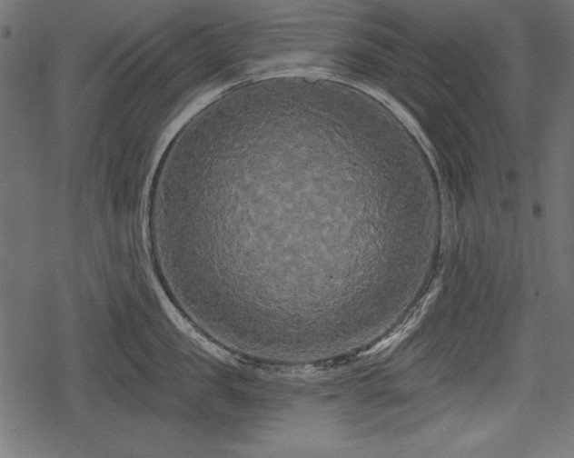 X0000078290957200611031228