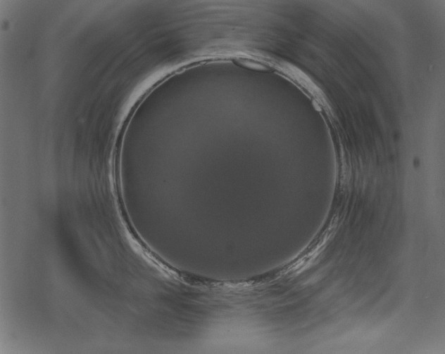 X0000078290958200611031228