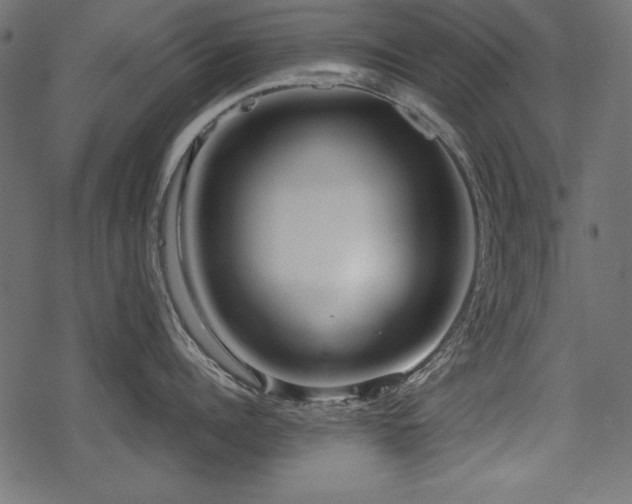 X0000078290960200611031228