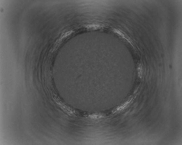 X0000078290961200611031227