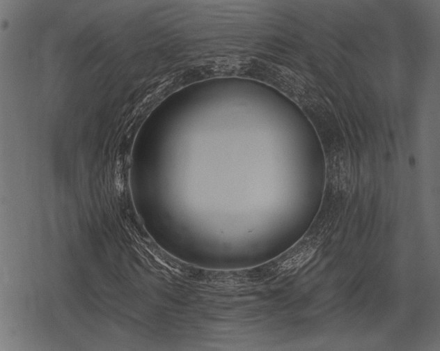 X0000078290962200611031227