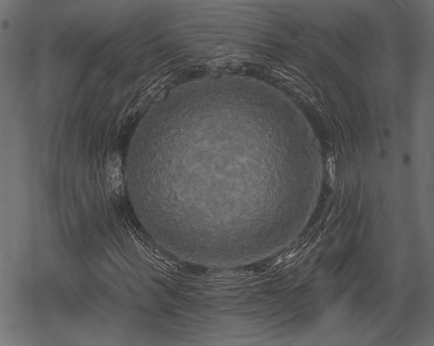 X0000078290963200611031227