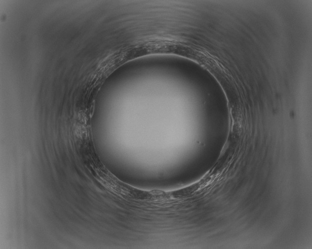 X0000078290964200611031227