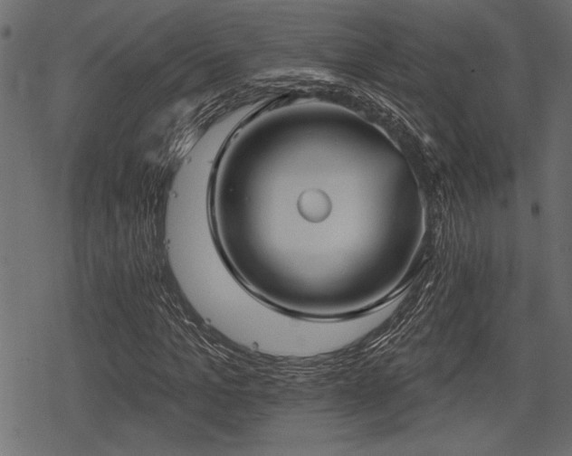 X0000078290965200611031227