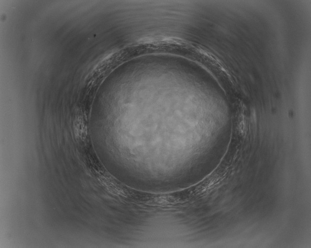 X0000078290966200611031227