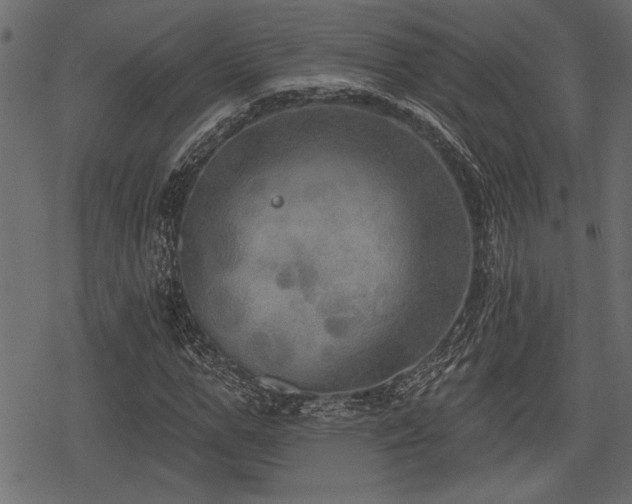 X0000078290967200611031227