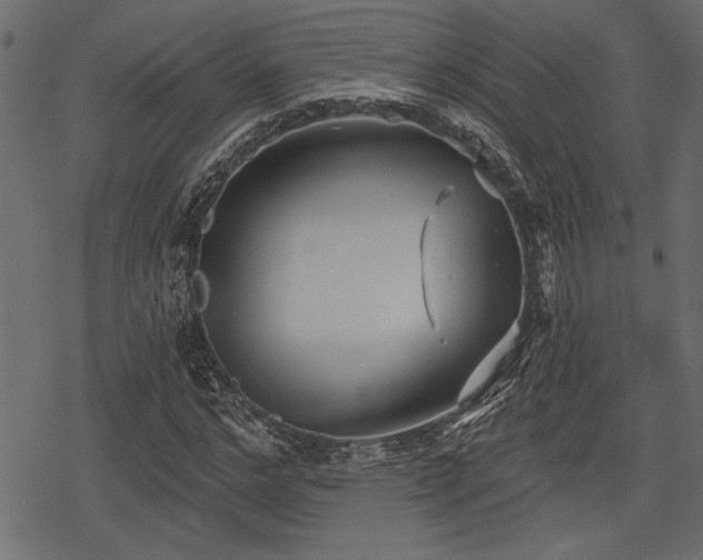 X0000078290968200611031227