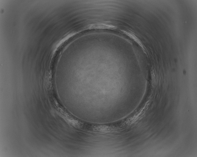 X0000078290971200611031227