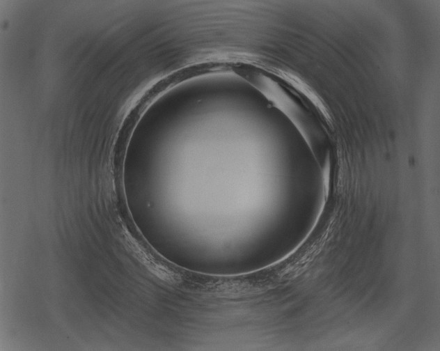 X0000078290972200611031227