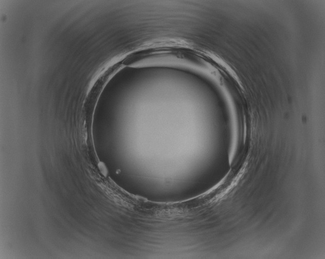 X0000078290973200611031227