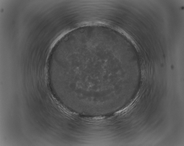 X0000078290975200611031227