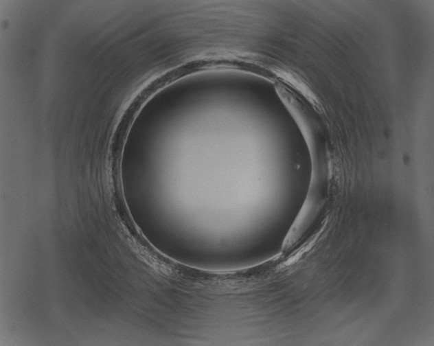 X0000078290976200611031227