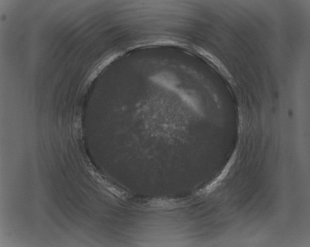 X0000078290977200611031227